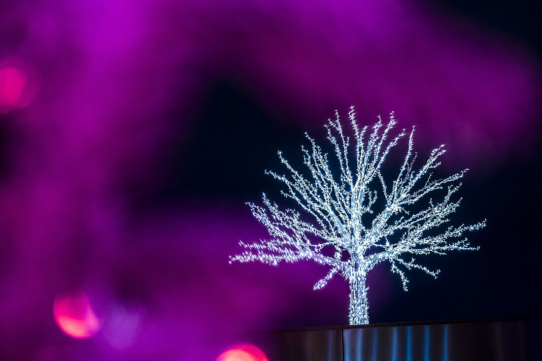 Twinkling Christmas tree on the Reeperbahn in Hamburg, north Germany, Germany