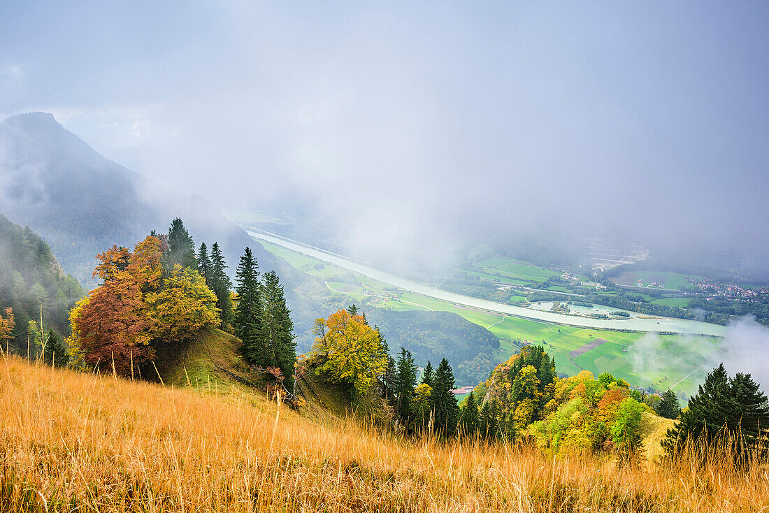 Fog above valley of Inn, beech trees in autumn colours in foreground, view from Heuberg, Heuberg, Chiemgau, Chiemgau Alps, Upper Bavaria, Bavaria, Germany