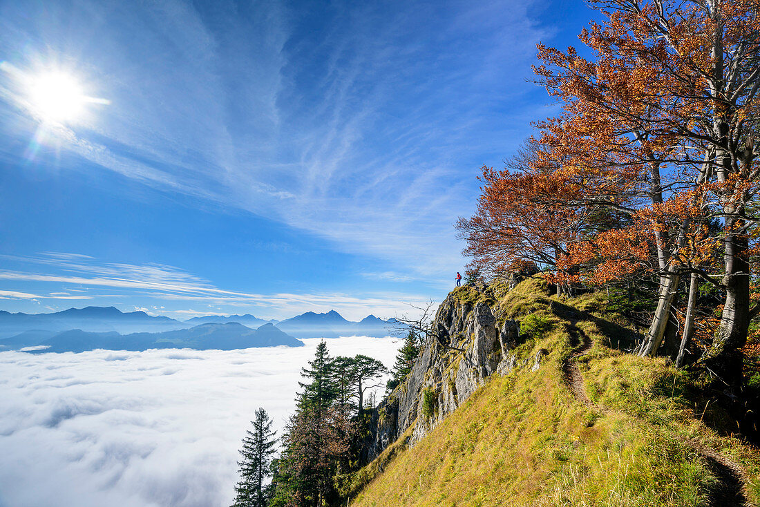 Woman standing at rock cliff and looking towards fog in valley of Inn, Wendelstein in background, view from Heuberg, Heuberg, Chiemgau, Chiemgau Alps, Upper Bavaria, Bavaria, Germany