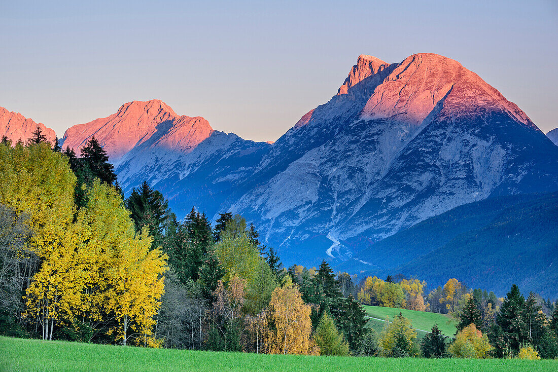 Hohe Munde in alpenglow with trees in autumn colours, valley of Inn, Mieming Range, Tyrol, Austria