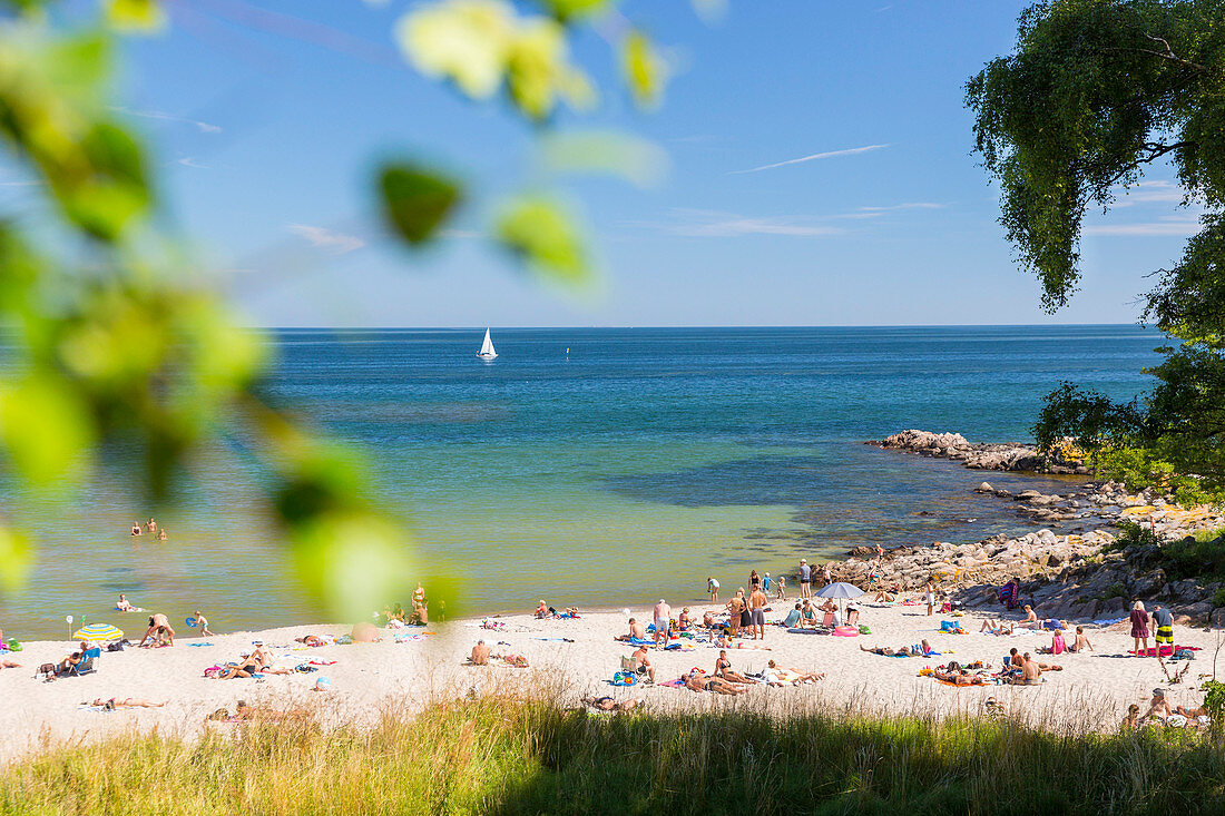 Leute beim Sonnenbaden, Strand von Sandkas, Strandurlaub, dänische Ostseeinsel, Ostsee, Insel Bornholm, südlich von Sandvig und Allinge, Ostküste, Dänemark, Europa