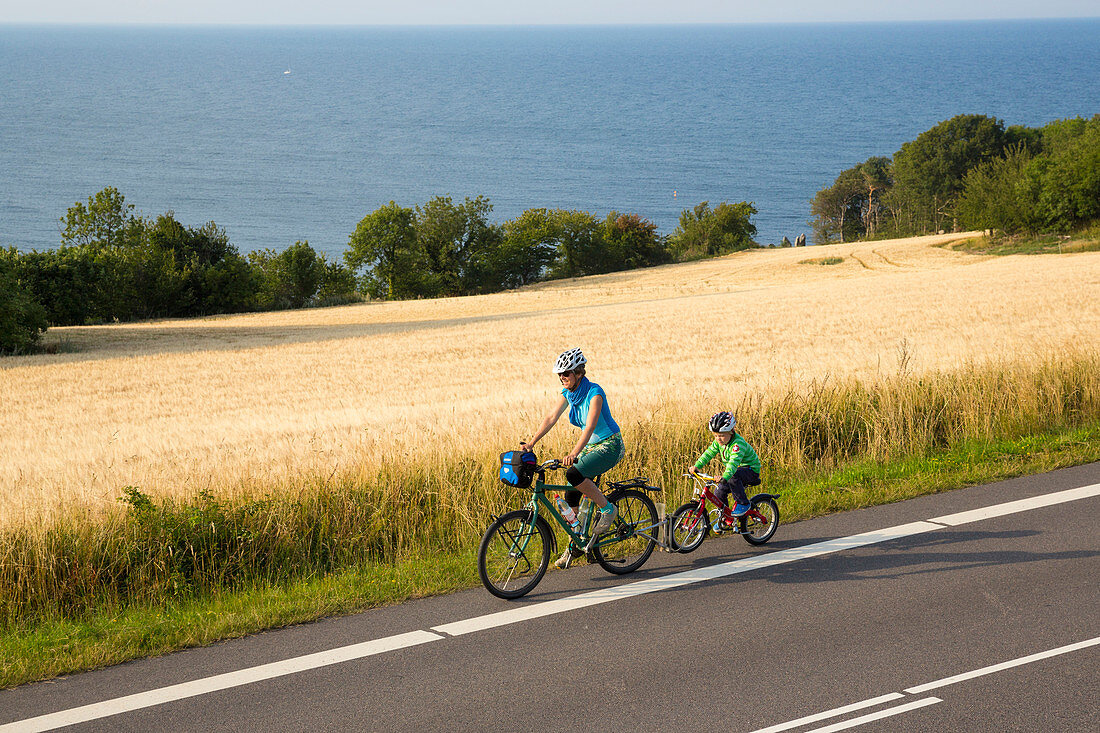 Mother and son on y cycle tour near a cornfield, Baltic sea, MR, Bornholm, near Gudhjem, Denmark, Europe