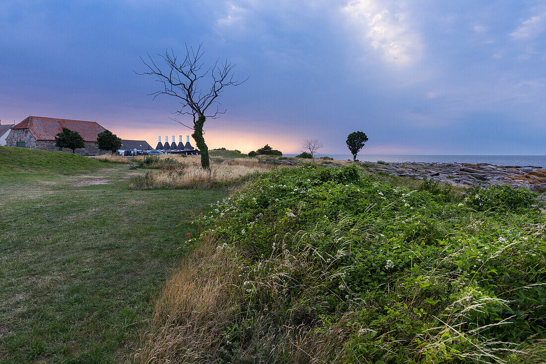 Smokehouse for fish and dead tree against a dramatic sky, Baltic sea, Bornholm, Svaneke, Denmark, Europe