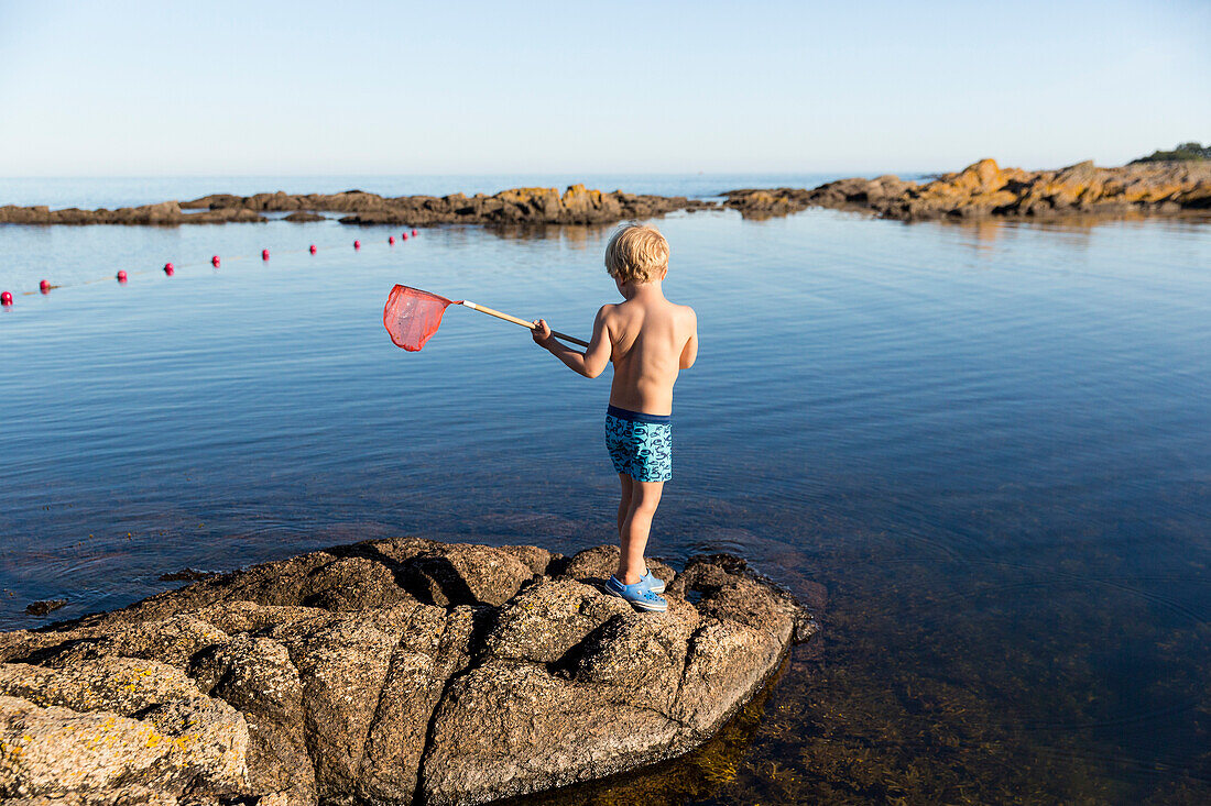 boy with fishing net on rocks near the beach at  Hullehavn Camping, Summer, Baltic sea, MR, Bornholm, Svaneke, Denmark, Europe