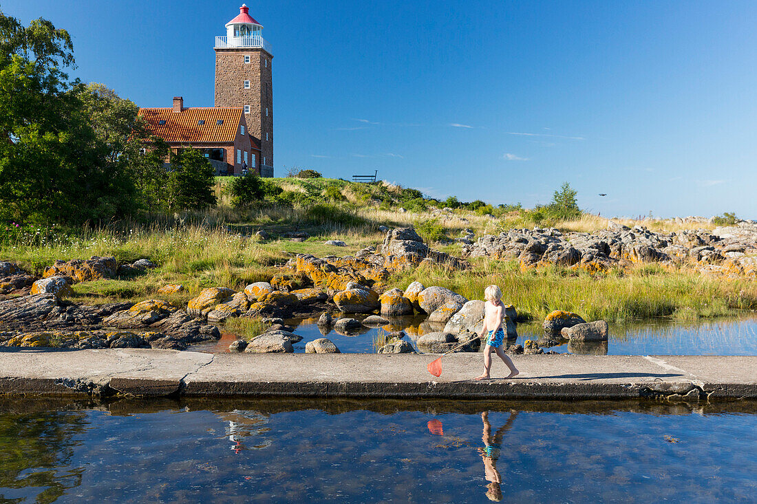 boy with fishing net near the beach at Hullehavn Camping, landing stage, summer, Baltic sea, MR, Bornholm, Svaneke, Denmark, Europe