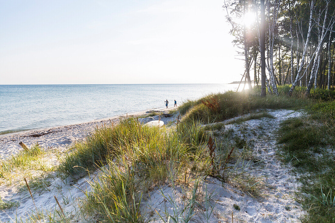 Dream beach between Strandmarken und Dueodde, summer, Baltic sea, MR, Bornholm, Strandmarken, Denmark, Europe