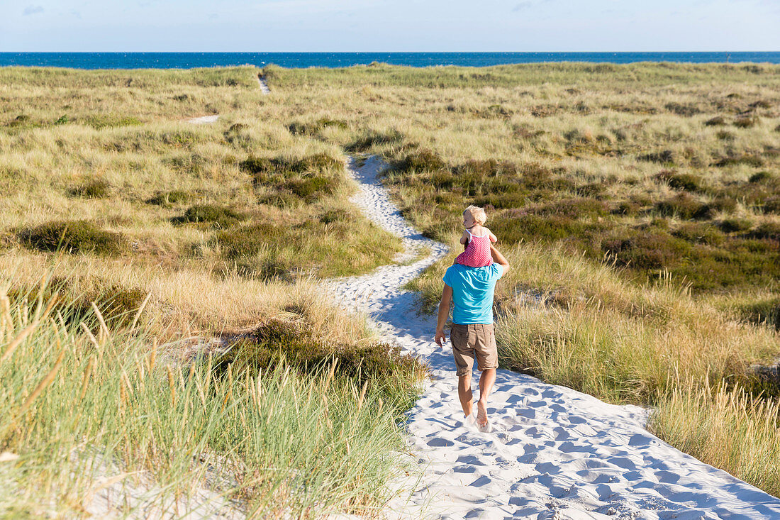Father and young daughter, dream beach and dunes of Dueodde, sandy beach, Summer, Baltic sea, Bornholm, Dueodde, Denmark, Europe