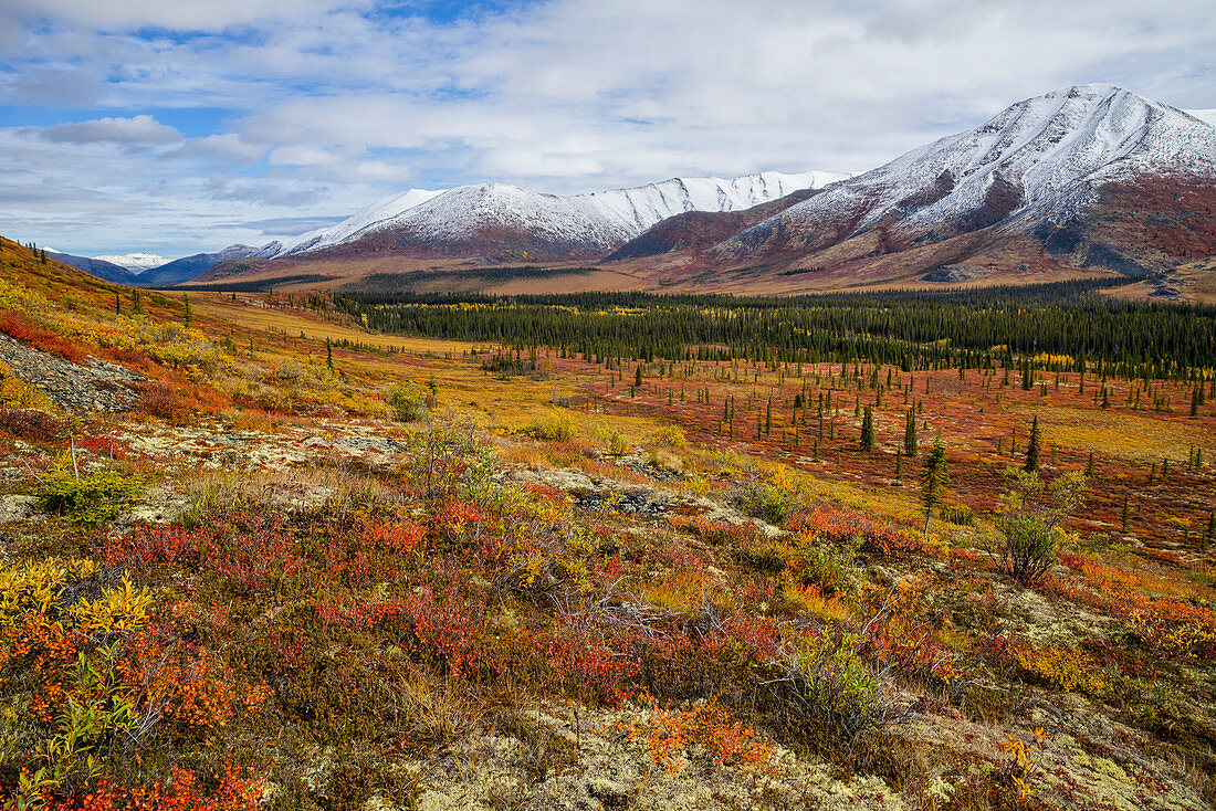 Ogilvie Mountains in autumn along the Dempster Highway, Yukon, Canada