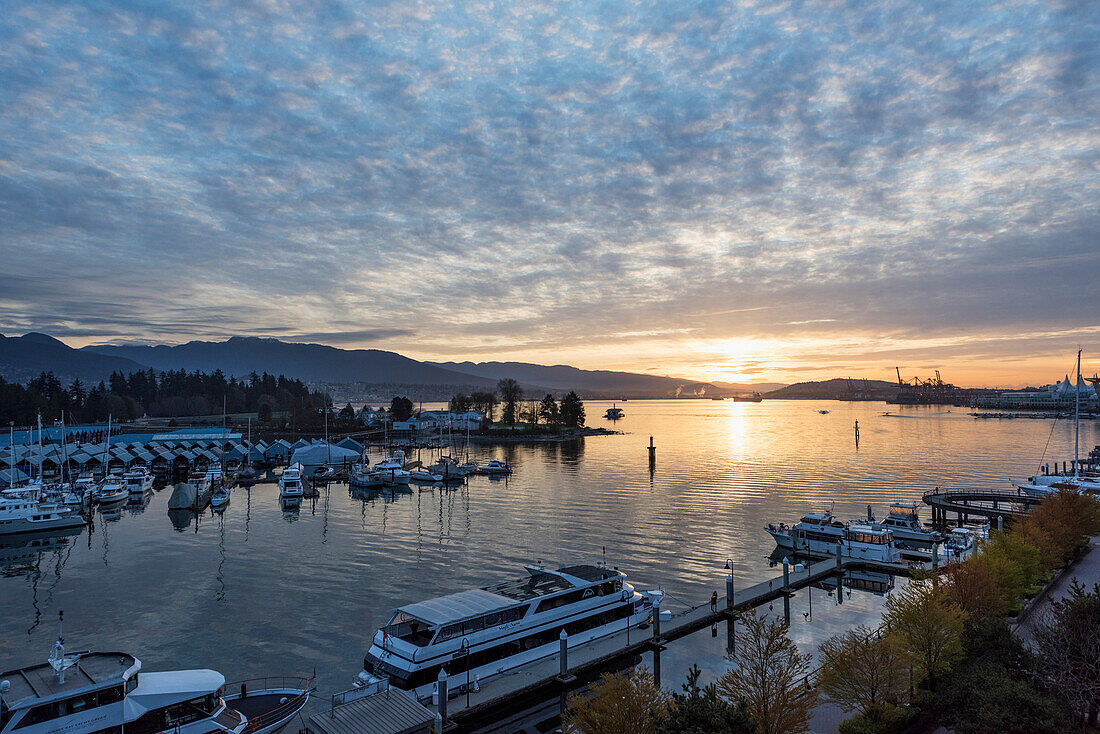 Stanley Park and harbour at sunset, Vancouver, British Columbia, Canada