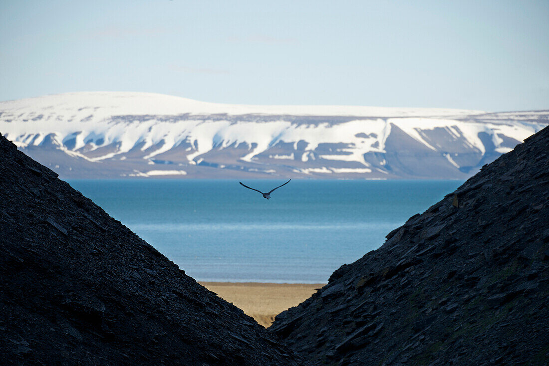 View through mountain slopes to the beach, Arctic ocean, snow covered mountains and blue sky, Spitsbergen, Svalbard, Norway