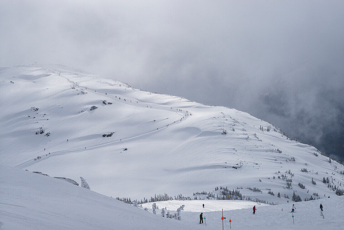 Skiers on a mountain, Whistler, British Columbia, Canada