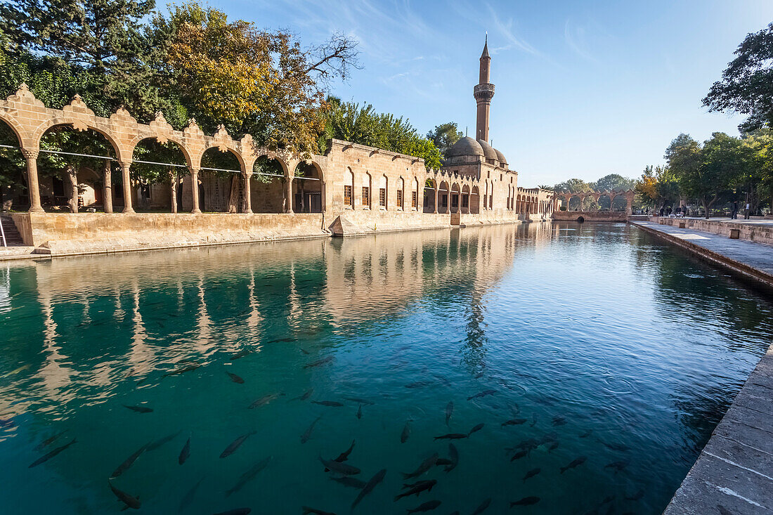 Chamber of Abraham and a minaret reflected in the tranquil water of the pool of sacred fish, Sanliurfa, Turkey