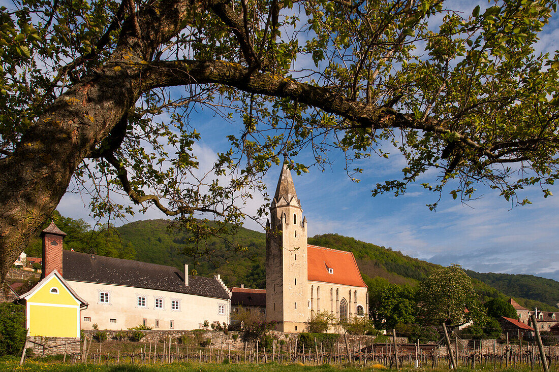 Kirche, Schwallenbach an der Donau, UNESCO Welterbestätte Die Kulturlandschaft Wachau, Niederösterreich, Österreich