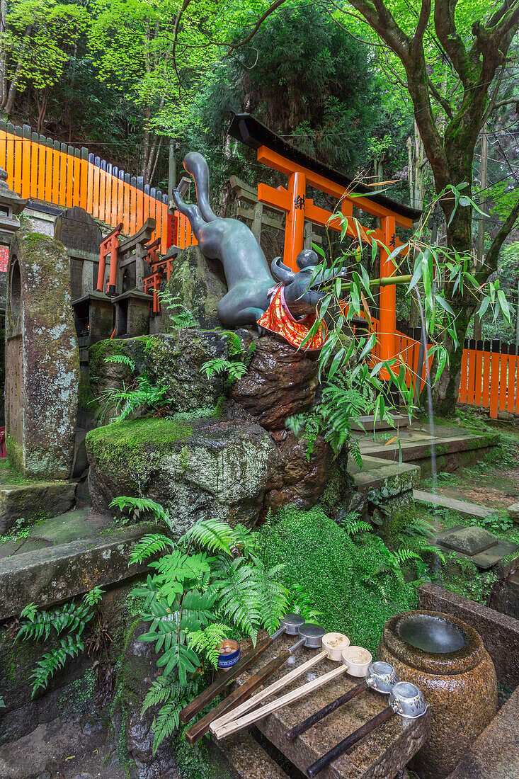Fox water feature at a mossy Shinto shrine surrounded by thick forest in summer, Fushimi Inari Taisha, Mount Inari, Kyoto, Japan, Asia