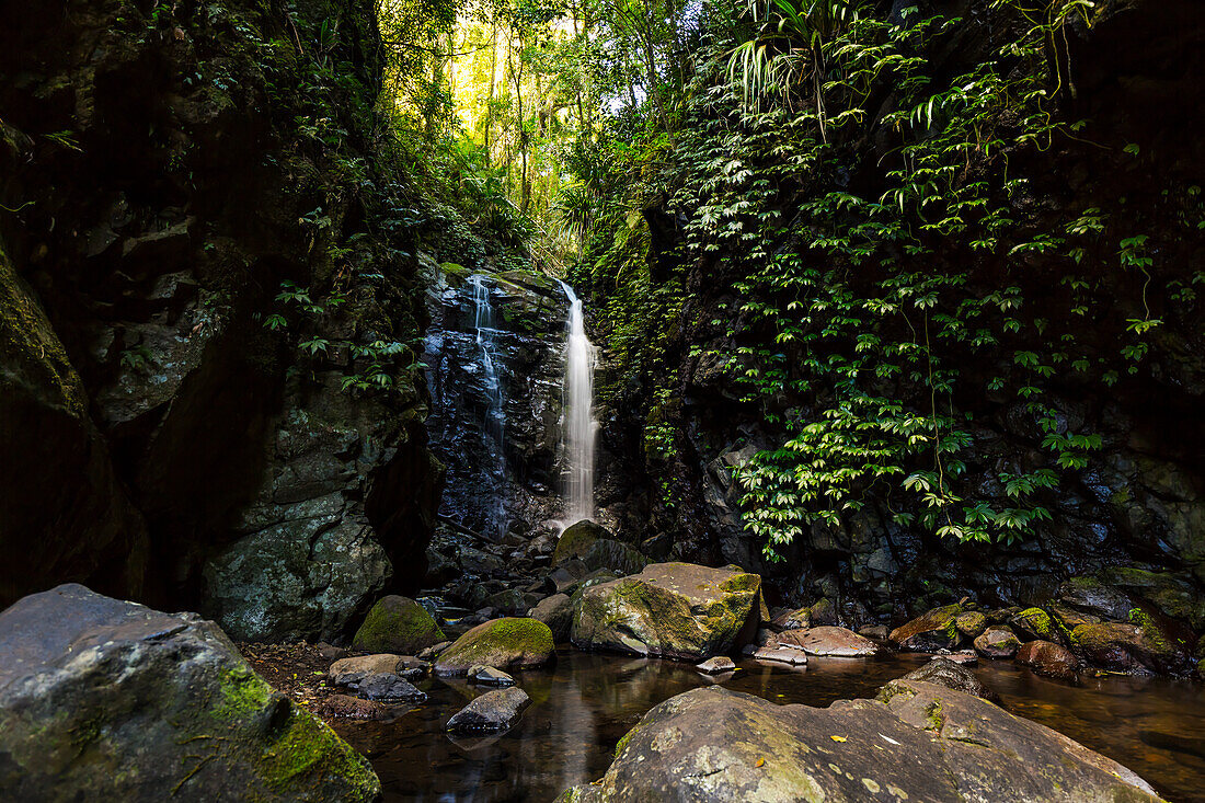 Waterfall at Lamington National Park, Queensland, Australia, Pacific