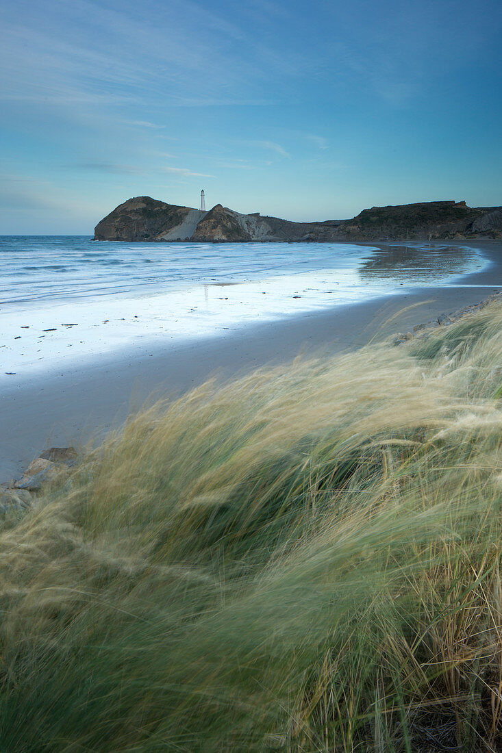 Castlepoint, Wellington Region, North Island, New Zealand, Pacific