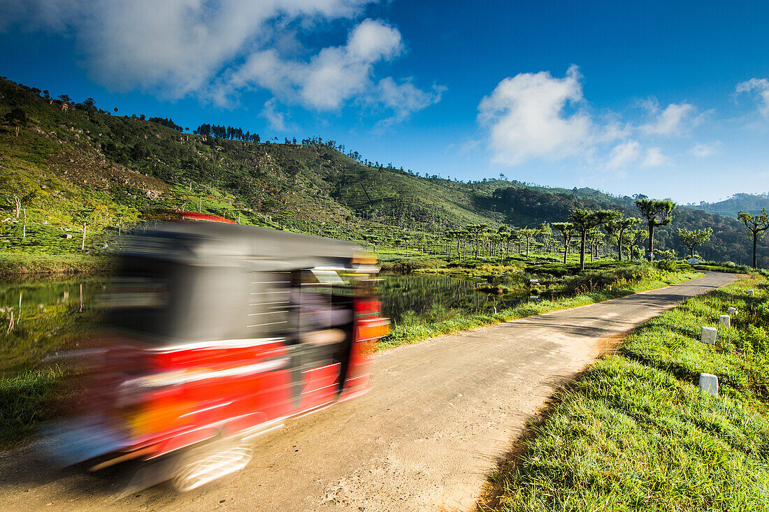 Tuk Tuk driving through a tea plantation near Haputale, Badulla District, Uva Province, Sri Lanka, Asia
