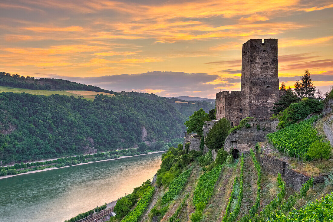 Burg Gutenfels, UNESCO World Heritage Site, and River Rhine, Rhineland Palatinate, Germany, Europe