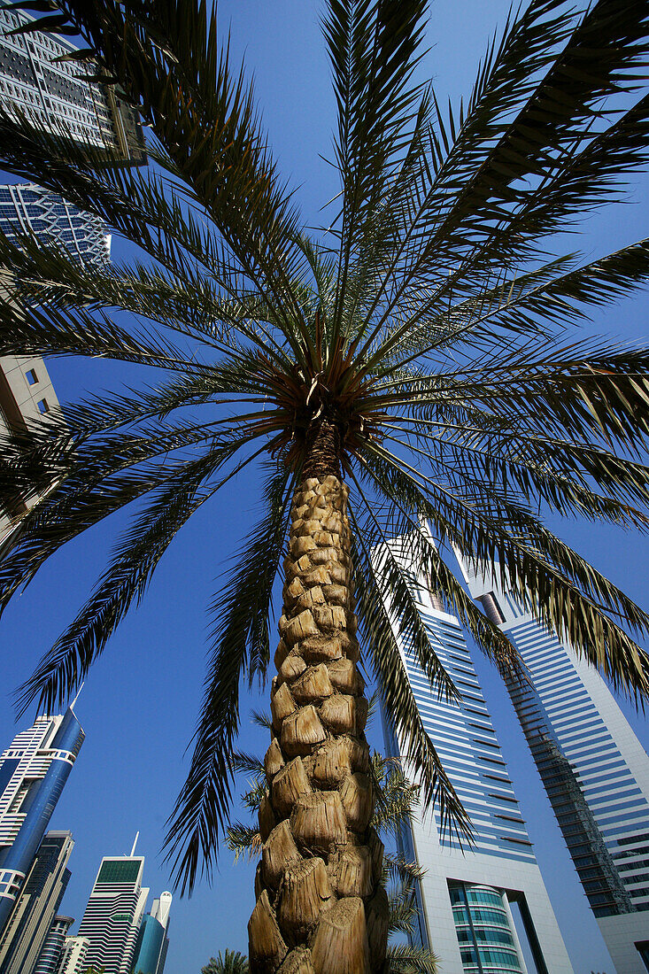 Sheikh Zayed Road, Emirates Towers, Palme, Dubai, Vereinigte Arabische Emirate, VAE