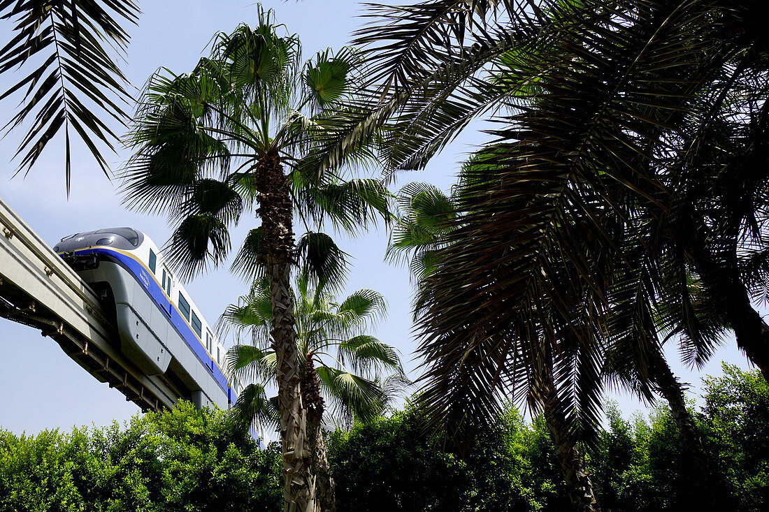 Monorail, Palm Jumeirah, Dubai, Vereinigte Arabische Emirate, VAE