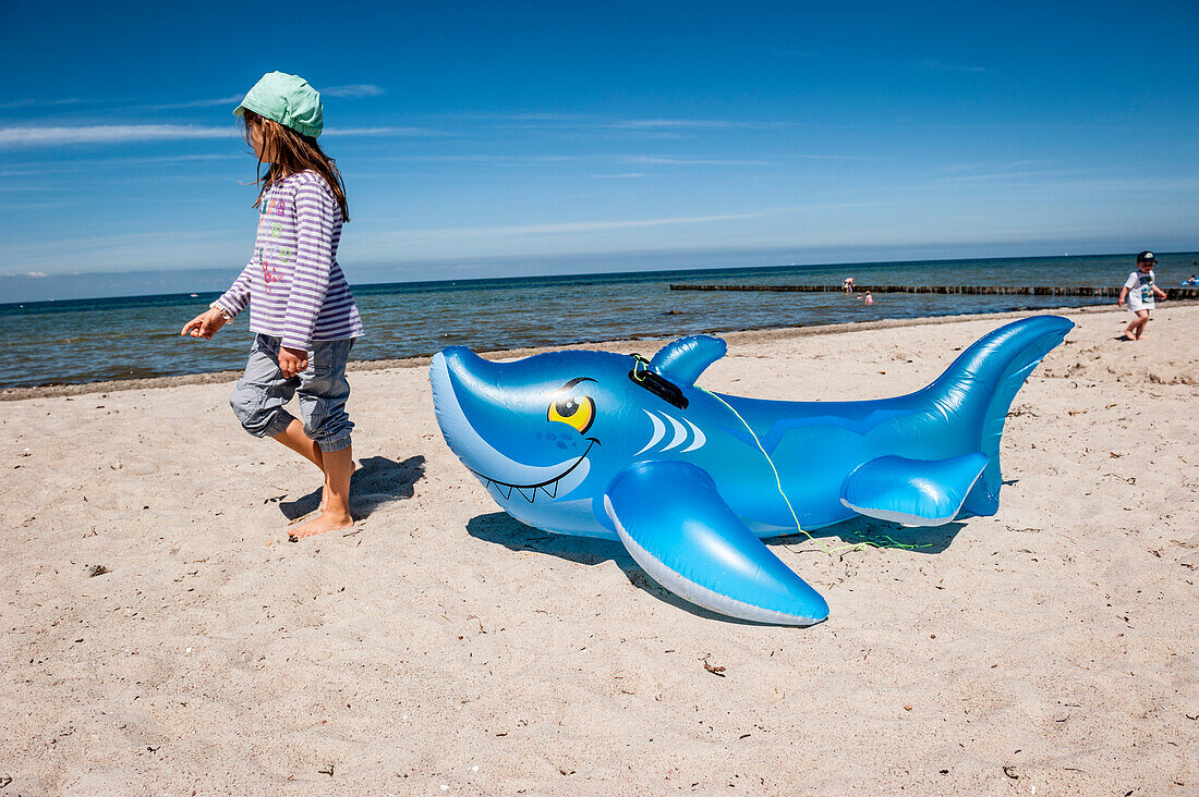 girl pulling a rubber shark, rubber toy on the beach, seaside, Poel Island, Wismar, Baltic Sea, Germany, Europe, summer