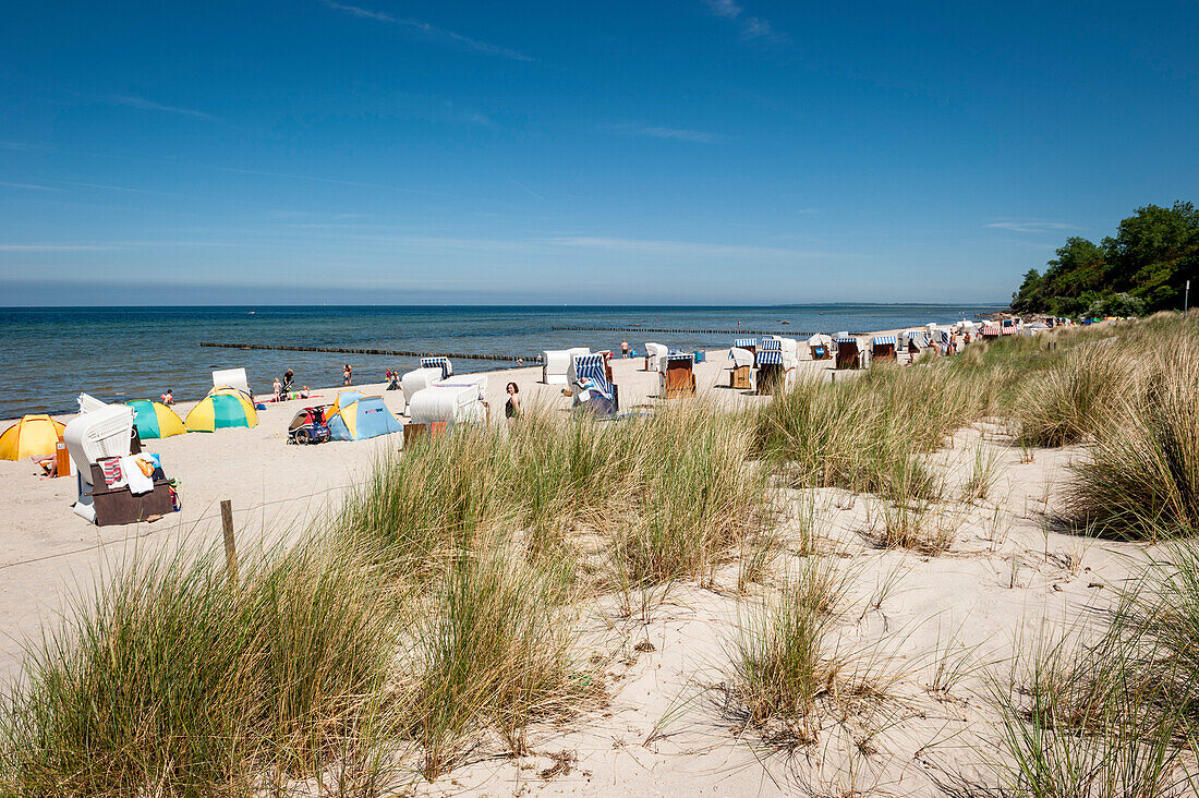 Strandkörbe am Strand, Insel Poel, Wismar, Ostsee, Norddeutschland, Deutschland, Europa, Sommer, Norden, Ferien