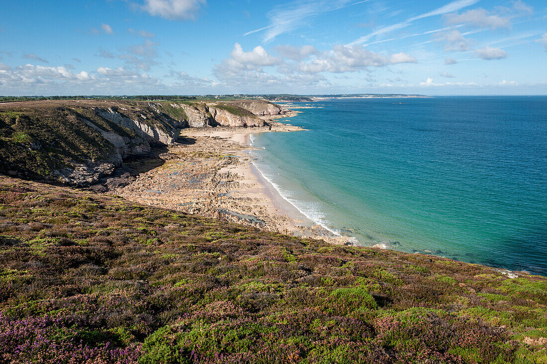 Steilküste bei Pont de l´Etang, Cap Frehel, Côte d´Emeraude, Nordbretagne, Bretagne, Frankreich, Europa