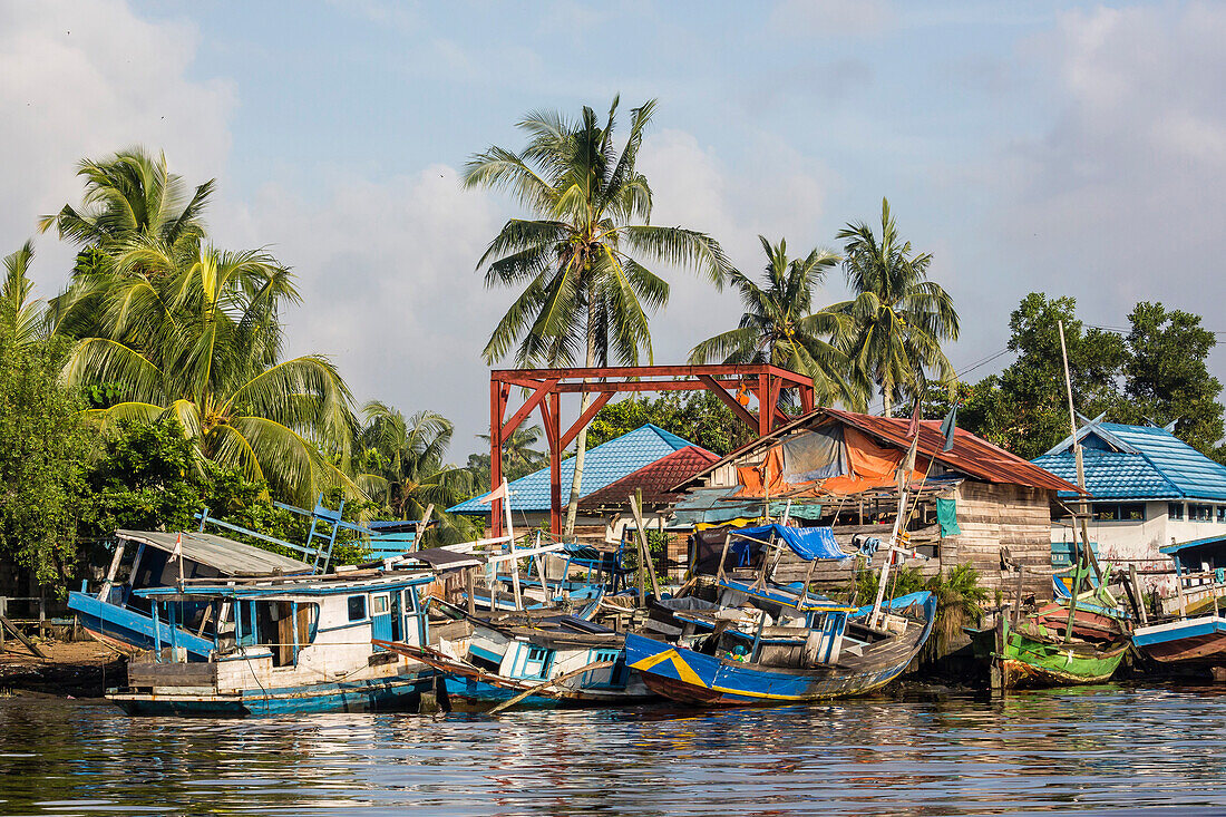 View of fishing boats on the Kumai River, Central Kalimantan province, Borneo, Indonesia, Southeast Asia, Asia