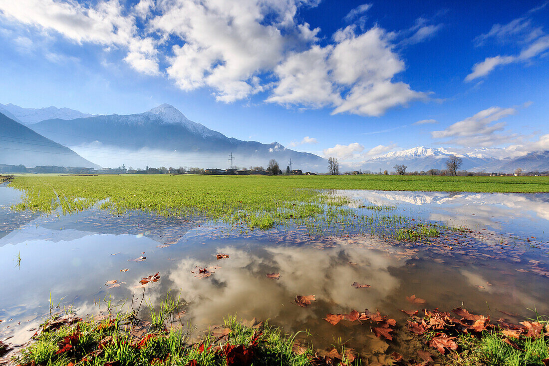 The natural reserve of Pian di Spagna flooded with Mount Legnone reflected in the water, Valtellina, Lombardy, Italy, Europe
