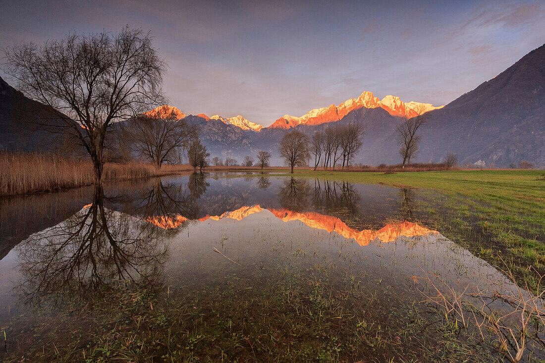 Natural reserve of Pian di Spagna  flooded with snowy peaks reflected in the water at sunset, Valtellina, Lombardy, Italy, Europe