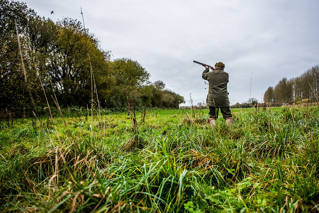 Gun shooting at bird on Driven pheasant shoot, Wiltshire, England, United Kingdom, Europe
