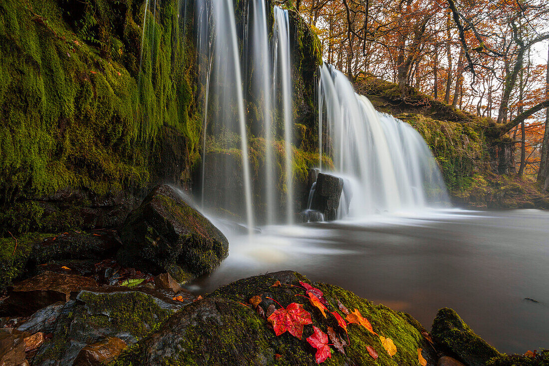 Sqwd Ddwli Waterfall, near Pontneddfechan, Afon Pyrddin, Powys, Brecon Beacons National Park, Wales, United Kingdom, Europe