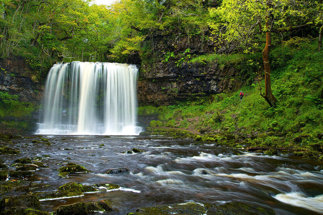 Sgwd Ddwli Uchaf waterfall, Ystradfellte, Brecon Beacons National Park, Powys, Wales, United Kingdom, Europe