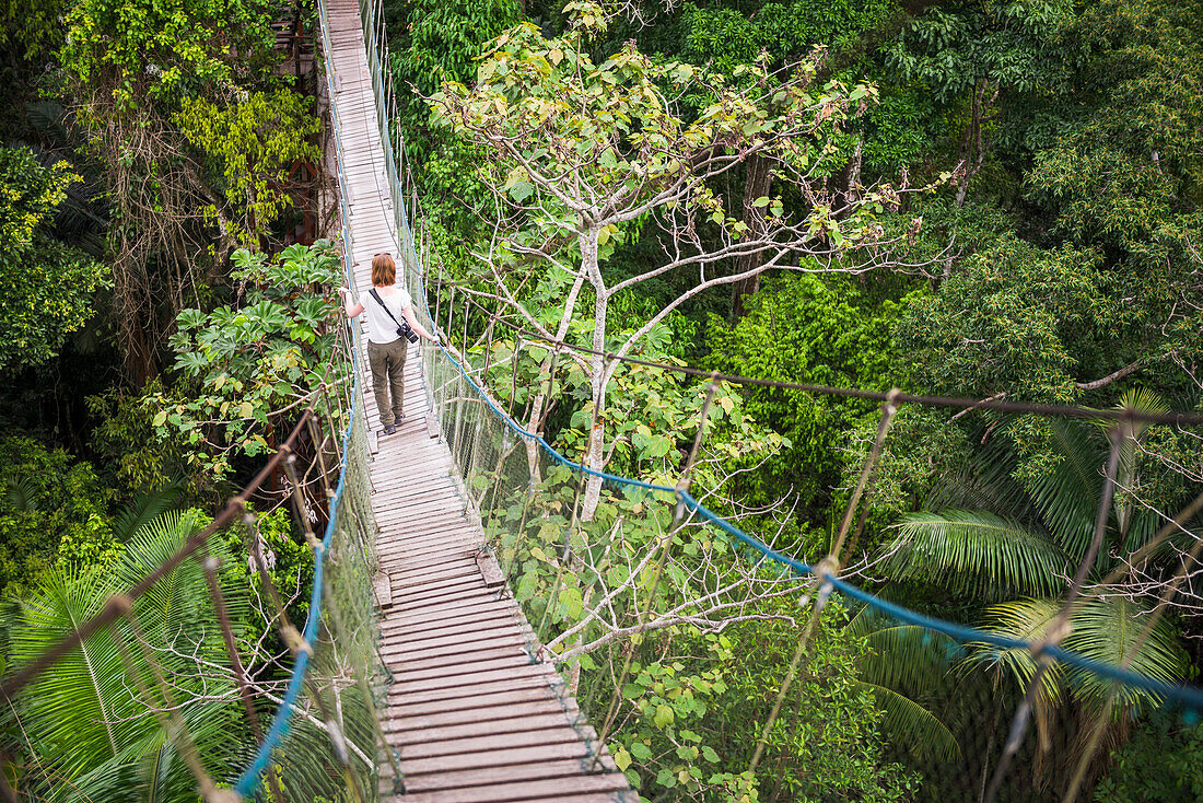 Amazon Jungle swinging rope bridge in Puerto Maldonado area, Peru, South America