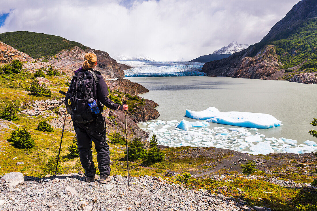 Hiker at Grey Glacier Glaciar Grey, Torres del Paine National Park, Patagonia, Chile, South America