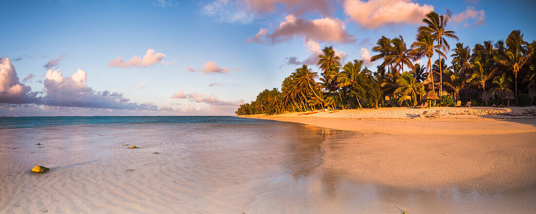 Tropical beach with palm trees at sunrise, Rarotonga, Cook Islands, South Pacific, Pacific