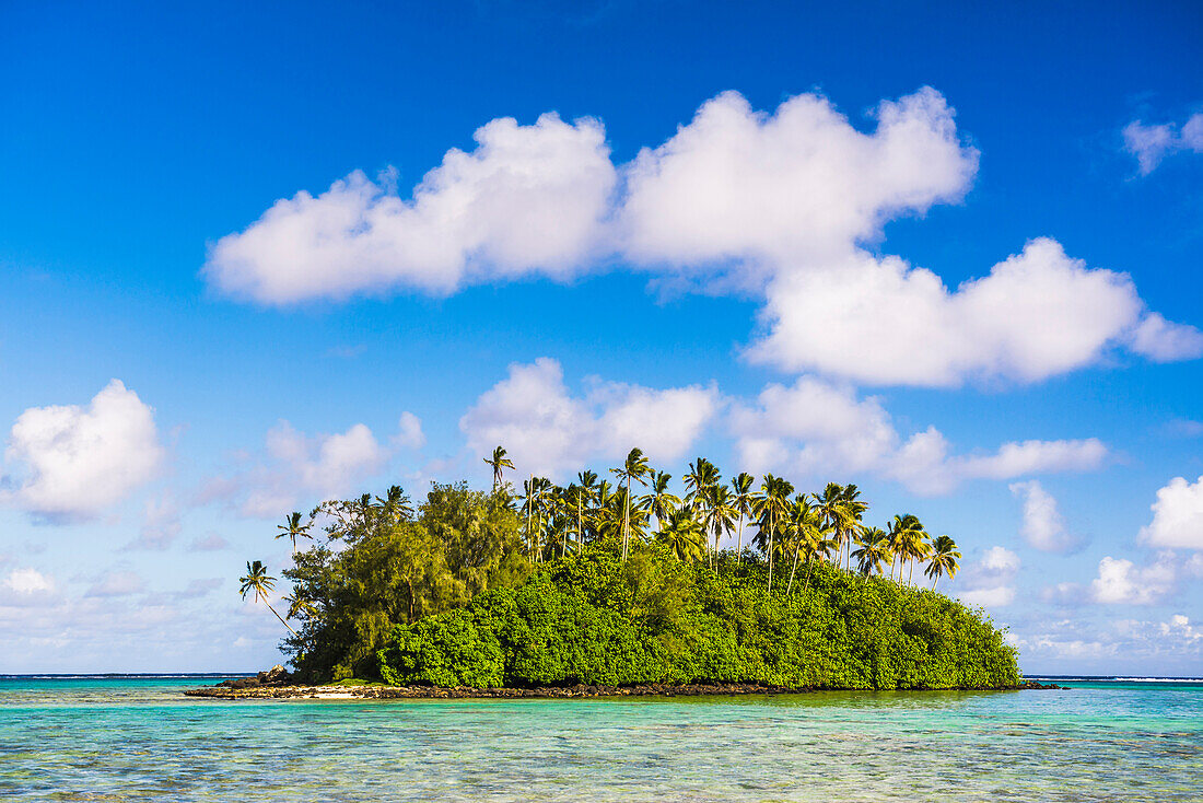 Tropical island of Motu Taakoka covered in palm trees in Muri Lagoon, Rarotonga, Cook Islands, South Pacific, Pacific
