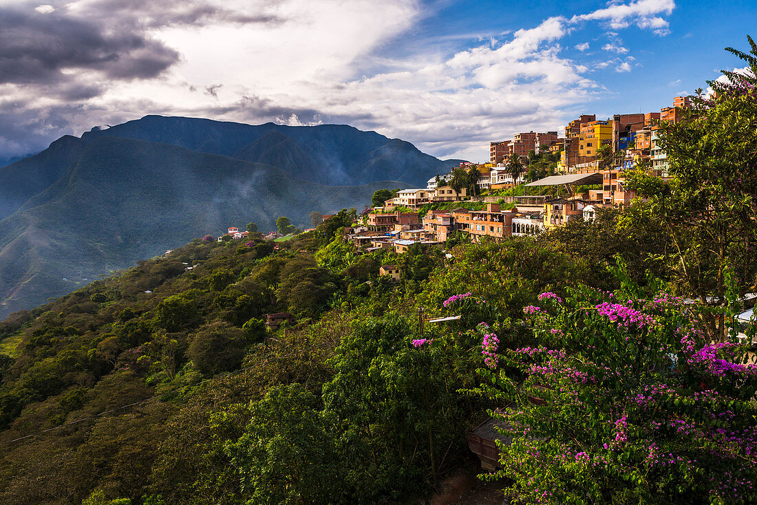 Coroico, La Paz Department, Bolivia, South America