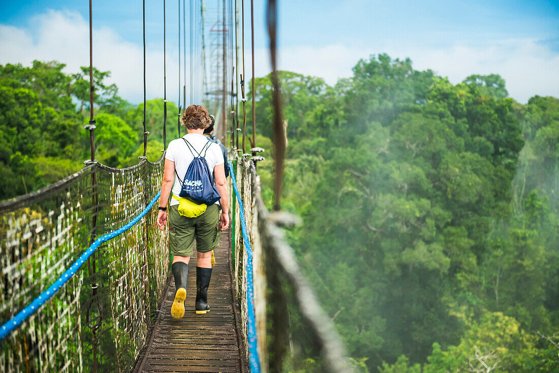 Amazon Rainforest Canopy Walk at Sacha Lodge, Coca, Ecuador, South America