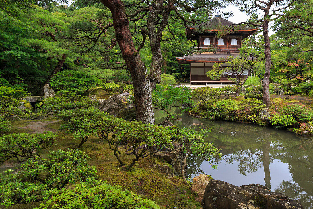 Ginkaku-ji Silver Pavillion, classical Japanese temple and garden, main hall, pond and leafy trees in summer, Kyoto, Japan, Asia