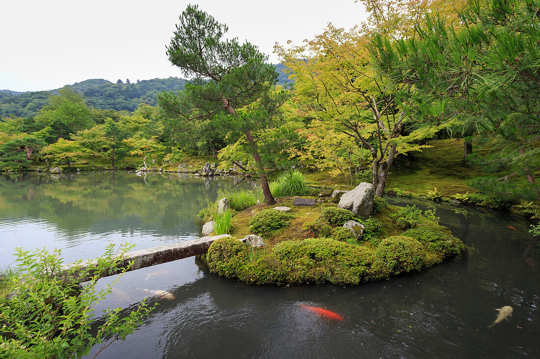 Tenryu-ji temple, Zen garden lake with carp, backdrop of borrowed mountain scenery in summer, Arashiyama, Kyoto, Japan, Asia