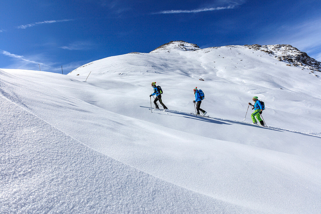Alpine skiers proceed at high altitude on a sunny day in the snowy landscape, Stelvio Pass, Valtellina, Lombardy, Italy, Europe