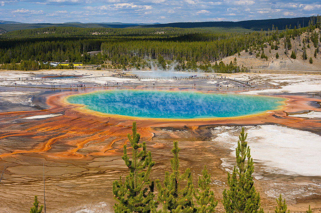 Grand Prismatic Spring, Midway Geyser Basin, Yellowstone National Park, UNESCO World Heritage Site, Wyoming, United States of America, North America