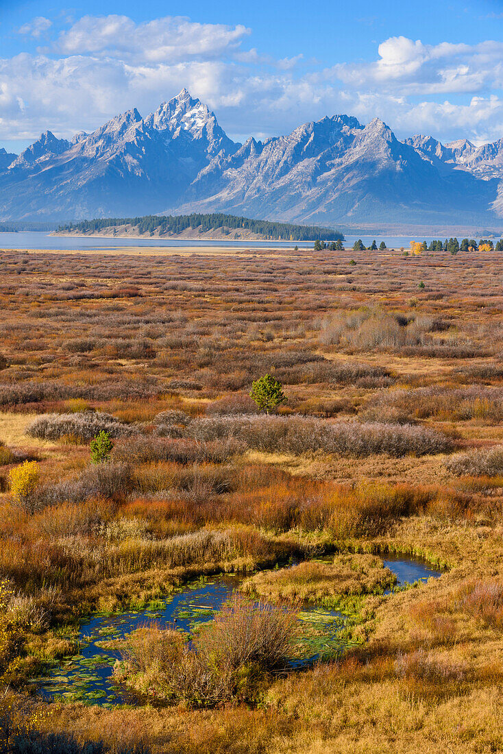 Willow Flats and Teton Range, Grand Tetons National Park, Wyoming, United States of America, North America