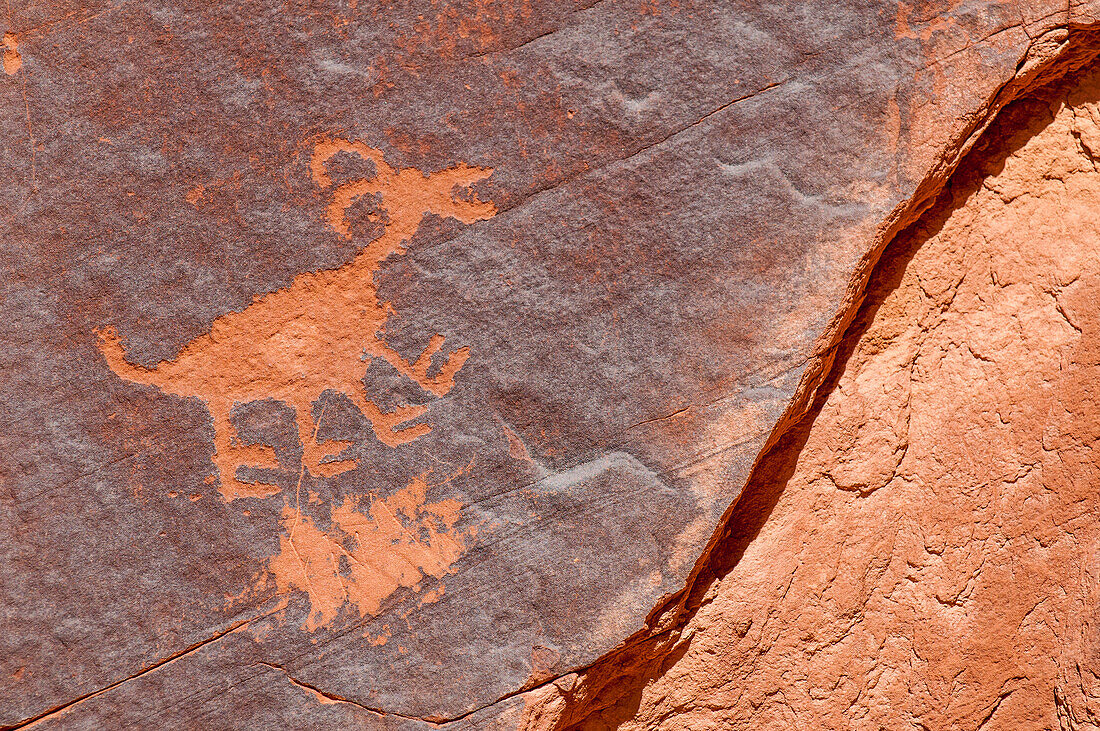Petroglyphs at Sun's Eye, Monument Valley Navajo Tribal Park, Monument Valley, Utah, United States of America, North America