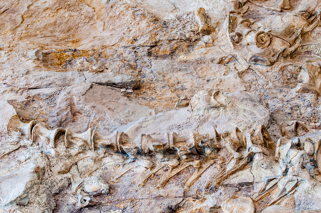 Dinosaur National Monument, Dinosaur, Utah, United States of America, North America