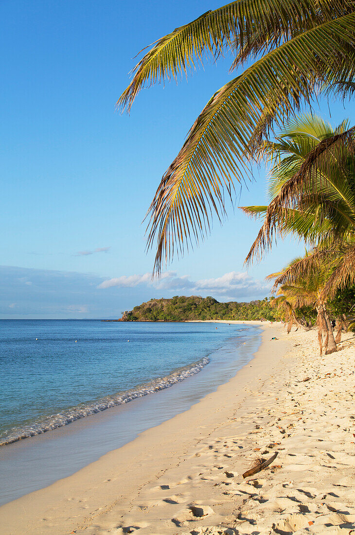 Beach on Mana Island, Mamanuca Islands, Fiji, South Pacific, Pacific