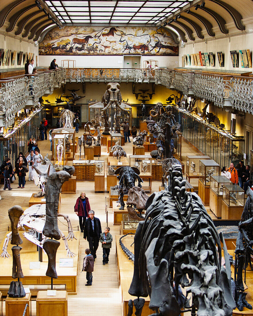 Elevated interior view of the Museum of Natural History Musee d'Histoire Naturelle in Paris, France.