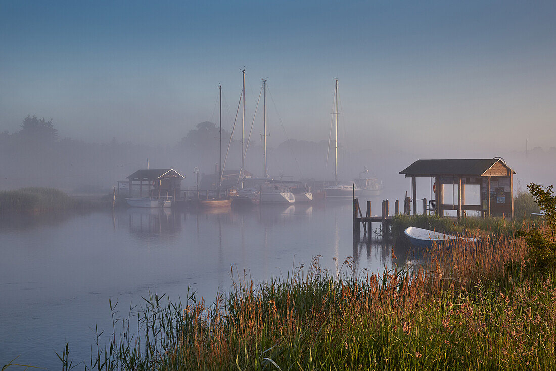 Baaber Bollwerk harbour in the morning mist, Moenchgut, Ruegen, Mecklenburg-Western Pomerania, Germany
