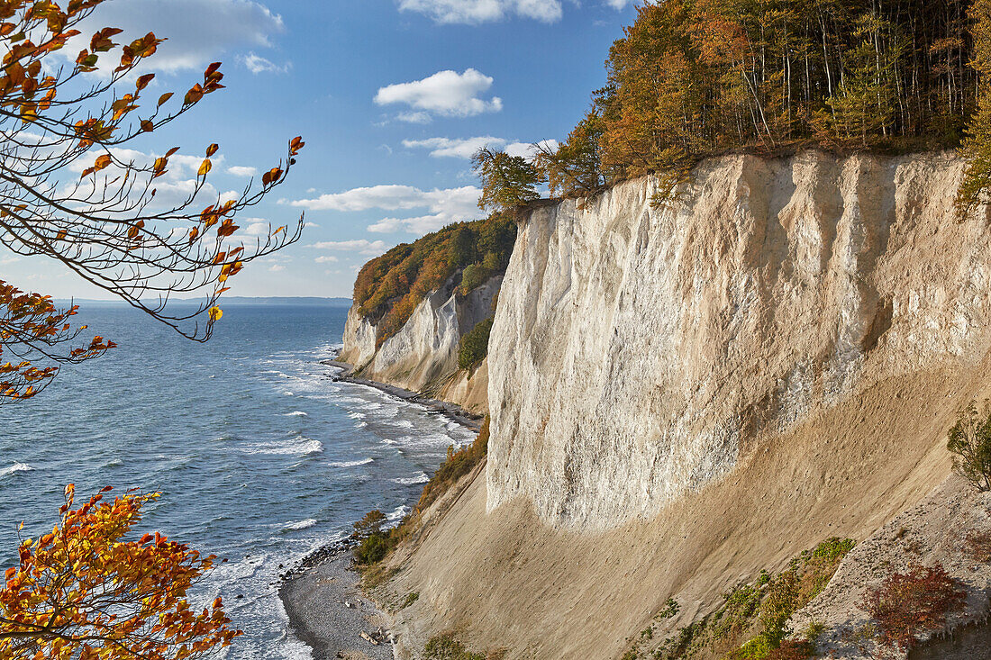 Kreideküste an der Ernst-Moritz-Arndt Sicht, Nationalpark Jasmund, Insel Rügen, Mecklenburg Vorpomern, Deutschland